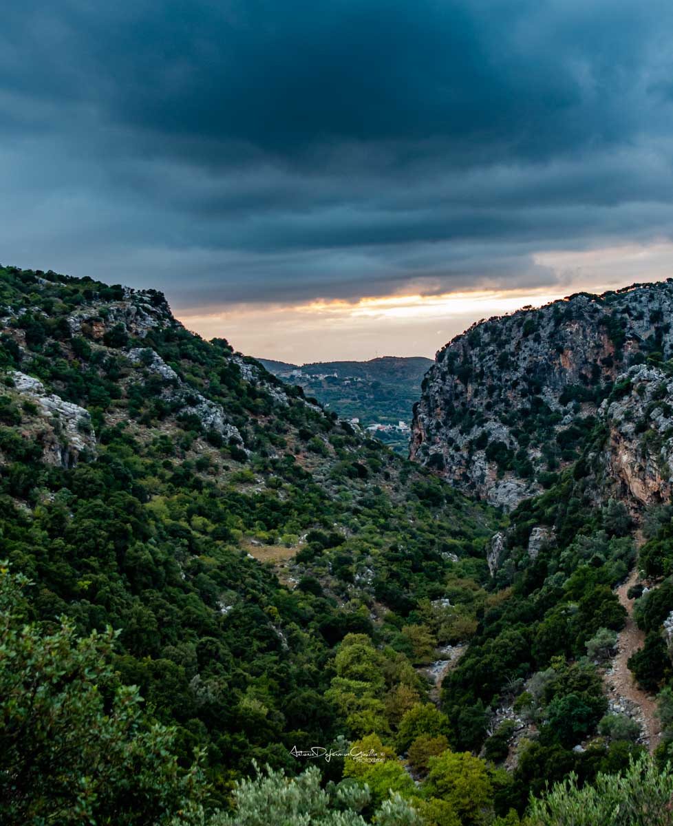 Φαράγγια & Μονοπάτια